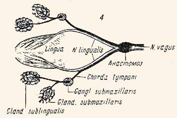 ������, ������� ������� �������������� ������