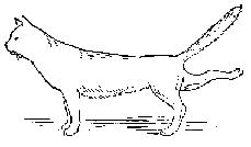 ������, ������� ������� �������������� ������