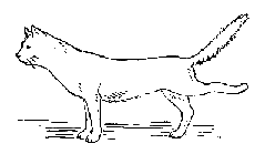 ������, ������� ������� �������������� ������