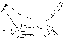 ������, ������� ������� �������������� ������