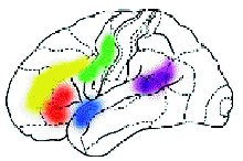 ����, �������� �����