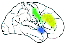 ����� �����