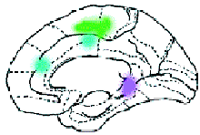 ����, �������� �����